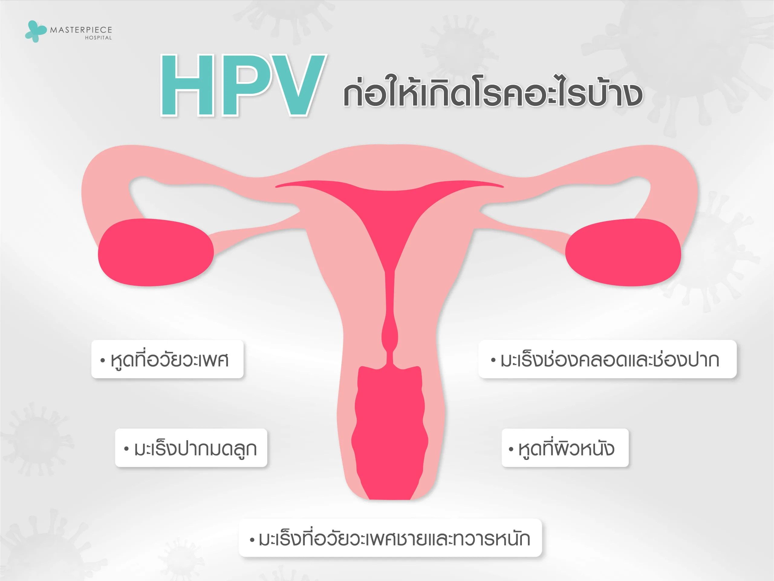 เชื้อ HPV คือไวรัสที่ติดต่อผ่านทางเพศสัมพันธ์ หรือการสัมผัสได้ง่าย มักไม่แสดงอาการให้เห็นแบบชัดเจน