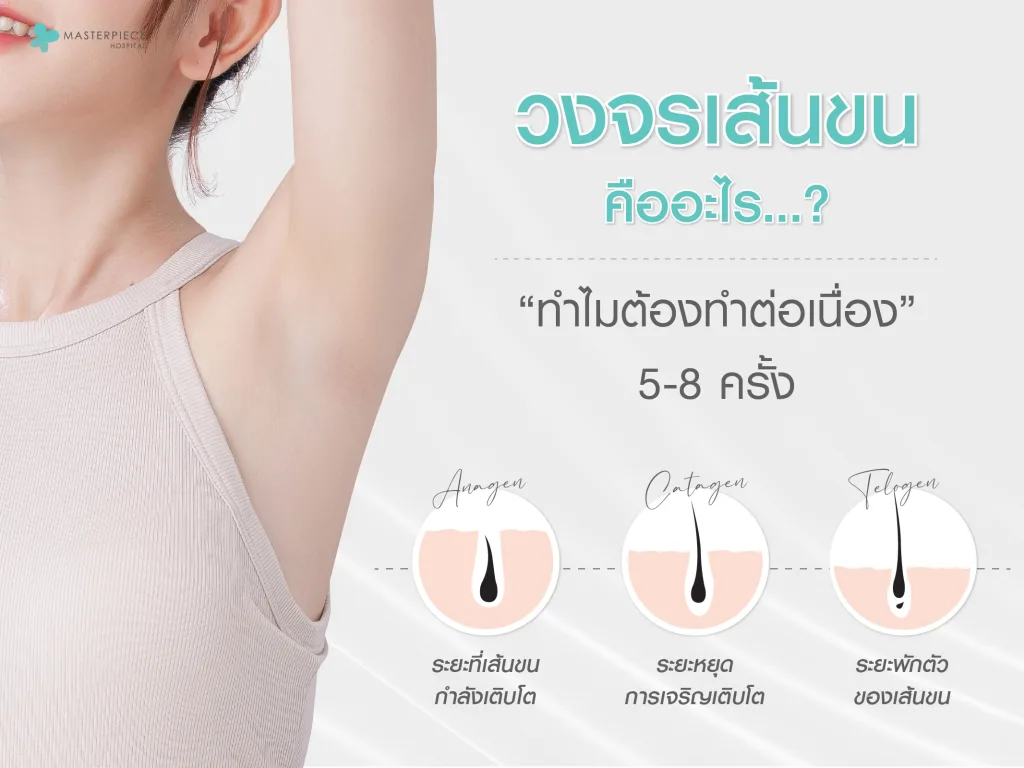 วงจรเส้นขน (Hair Growth Cycle) คืออะไร ทำไมต้องทำต่อเนื่อง 5-8 ครั้ง