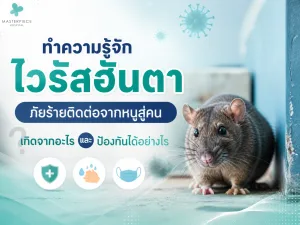 ทำความรู้จักไวรัสฮันตา ภัยร้ายติดต่อจากหนูสู่คน เกิดจากอะไร และป้องกันได้อย่างไร