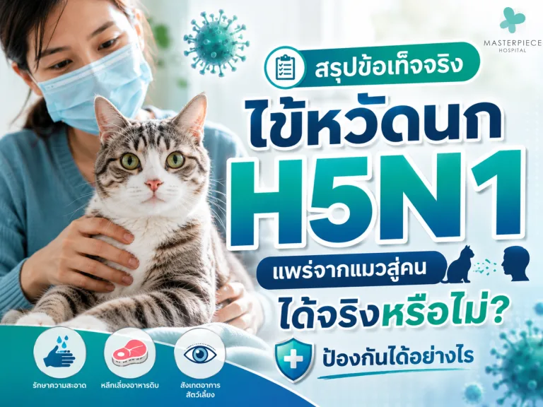 สรุปข้อเท็จจริง ไข้หวัดนก H5N1 แพร่จากแมวสู่คนได้จริงหรือไม่? ป้องกันได้อย่างไร