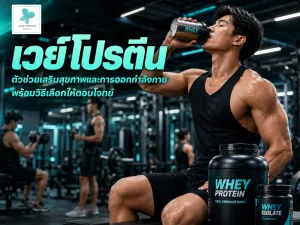 เวย์โปรตีน ตัวช่วยเสริมสุขภาพและการออกกำลังกาย พร้อมวิธีเลือกให้ตอบโจทย์
