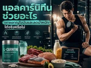 แอลคาร์นิทีนช่วยอะไร เผาผลาญไขมันและลดน้ำหนักได้จริงหรือไม่