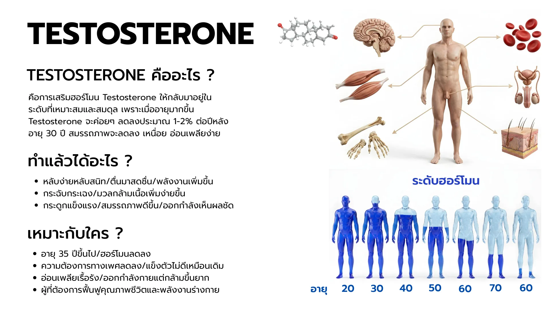 สริมฮอร์โมนชาย(Testosterone)