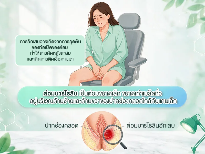 ต่อมบาร์โธลินอยู่ตรงไหน?