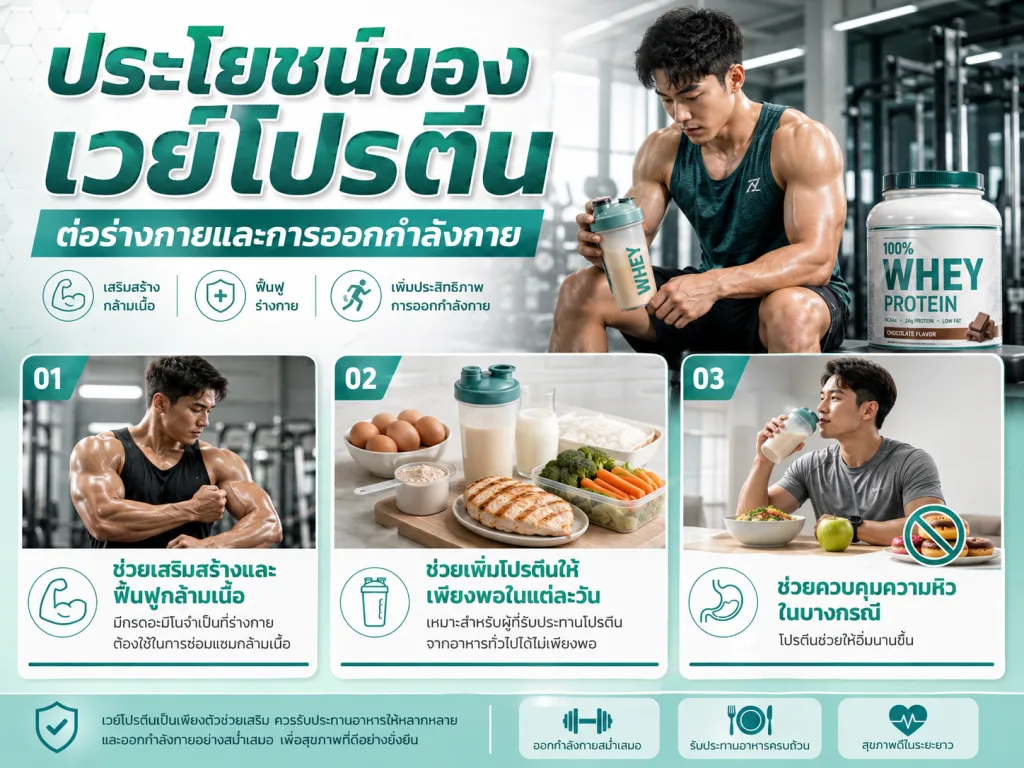 ประโยชน์ของเวย์โปรตีนต่อร่างกายและการออกกำลังกาย