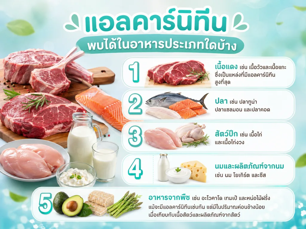 แอลคาร์นิทีนพบได้ในอาหารประเภทใดบ้าง