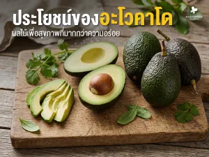 ประโยชน์ของอะโวคาโด ผลไม้เพื่อสุขภาพที่มากกว่าความอร่อย