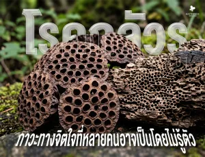 โรคกลัวรู ภาวะทางจิตใจที่หลายคนอาจเป็นโดยไม่รู้ตัว
