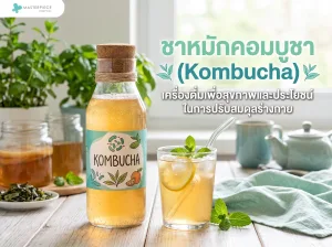 ชาหมักคอมบูชา (Kombucha)