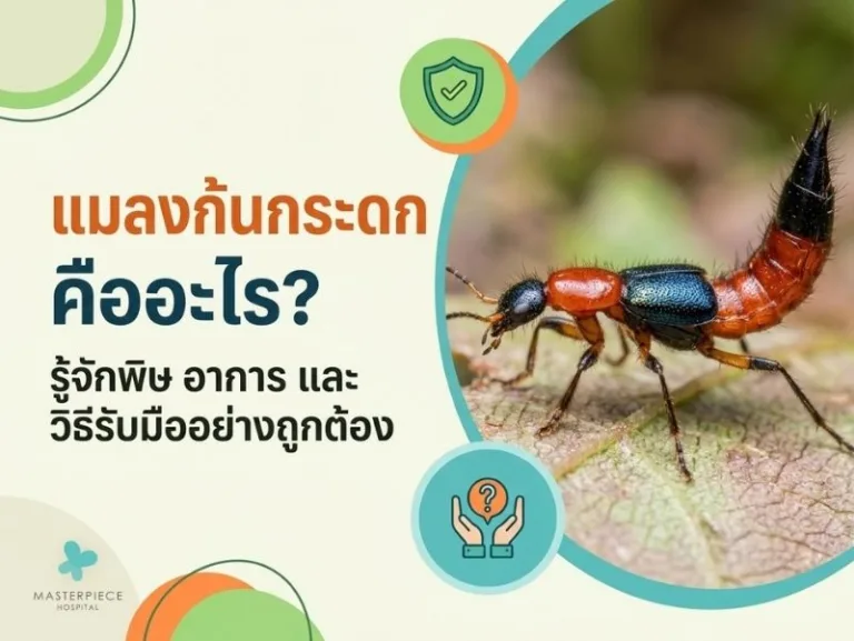 แมลงก้นกระดก คืออะไร? รู้จักพิษ อาการ และวิธีรับมืออย่างถูกต้อง