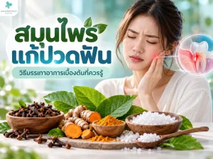สมุนไพรแก้ปวดฟัน วิธีบรรเทาอาการเบื้องต้นที่ควรรู้